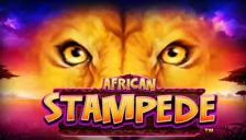 Africans tampede Africans tampede
