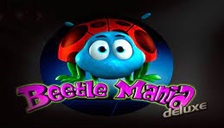 Beetle mania Beetle mania