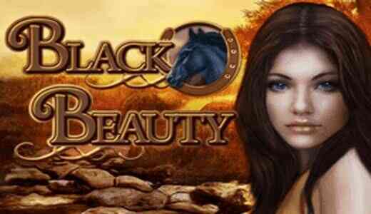 Black Beauty Black Beauty