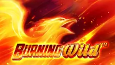 Burning wild Burning wild