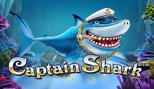 Captain Shark Captain Shark
