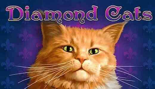 Diamond Cats Diamond Cats