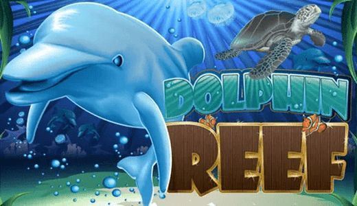 Dolphin Reef Dolphin Reef