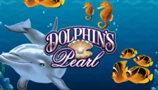 Dolphins Pearl Classic Dolphins Pearl Classic