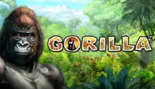 Gorilla Gorilla