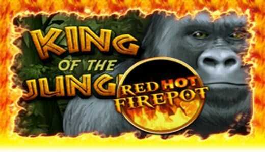 King Of The Jungle Red Hot Firepot King Of The Jungle Red Hot Firepot