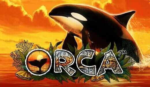 Orca Orca