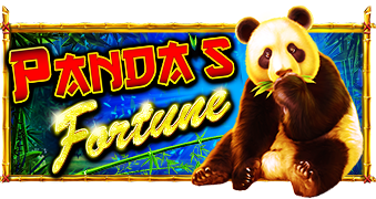 PandasFortune PandasFortune