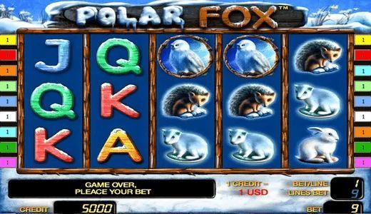 PolarFox PolarFox