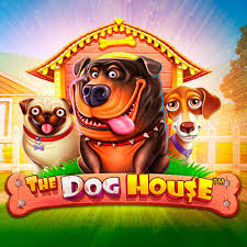 TheDogHouse TheDogHouse